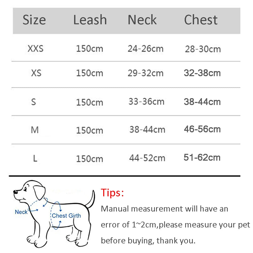 The Dapper Pup Stroll Set – Style, Safety & Comfort in Every Step