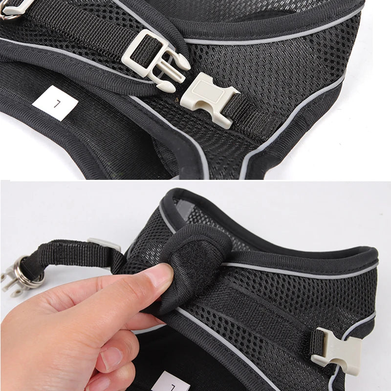 The Dapper Pup Stroll Set – Style, Safety & Comfort in Every Step