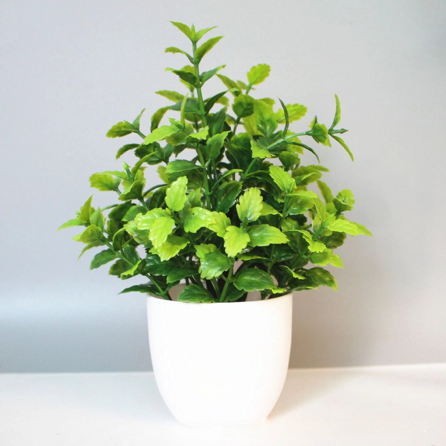 The Everleaf Tabletop Touch – A Lush Hint of Nature, Minus the Maintenance