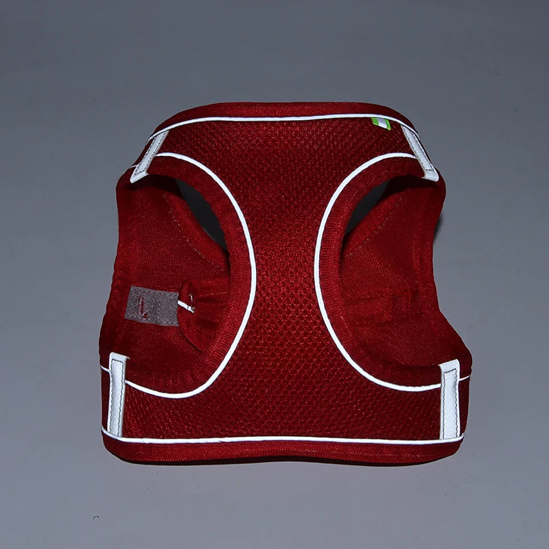The Dapper Pup Stroll Set – Style, Safety & Comfort in Every Step