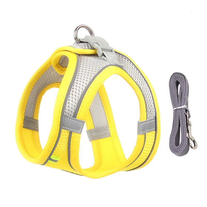 The Dapper Pup Stroll Set – Style, Safety & Comfort in Every Step