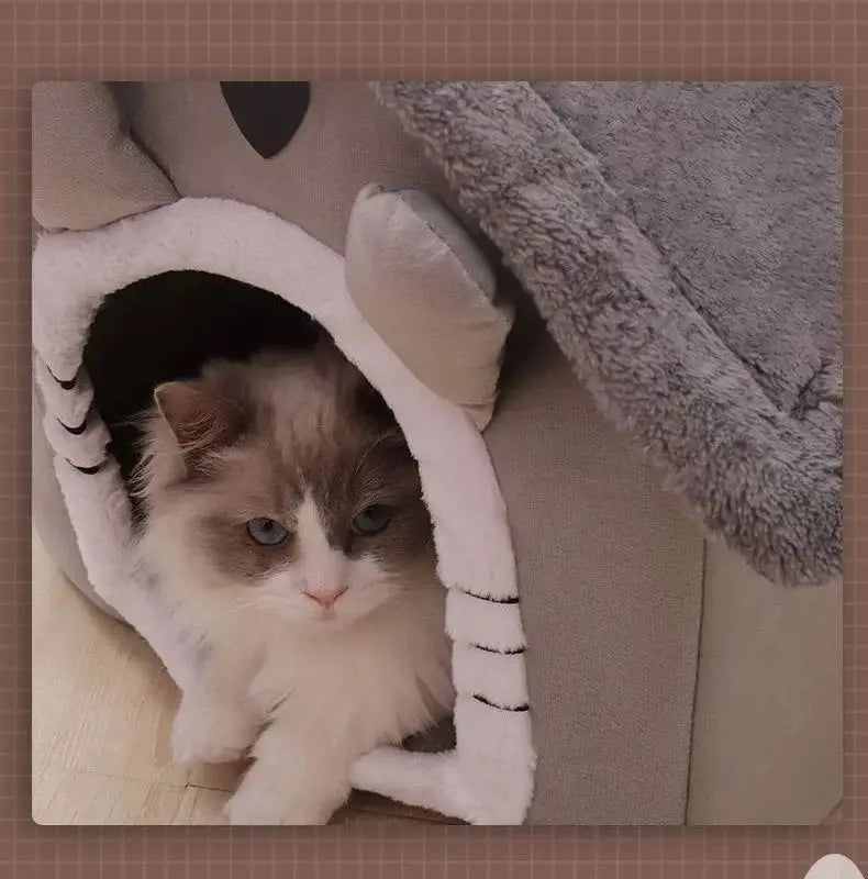 The Cosy Pawstead: Donde la comodidad se une al encanto para tu realeza peluda 