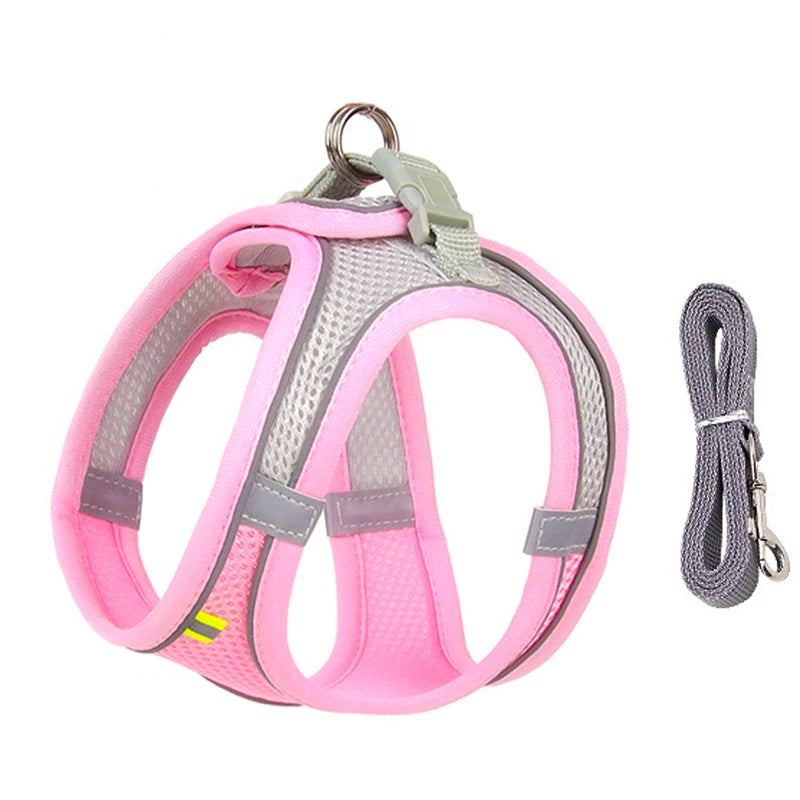 The Dapper Pup Stroll Set – Style, Safety & Comfort in Every Step
