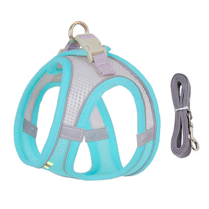 The Dapper Pup Stroll Set – Style, Safety & Comfort in Every Step